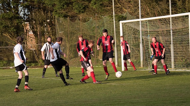 视野运用还 视野运用还