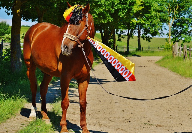 他们全局的 他们全局的