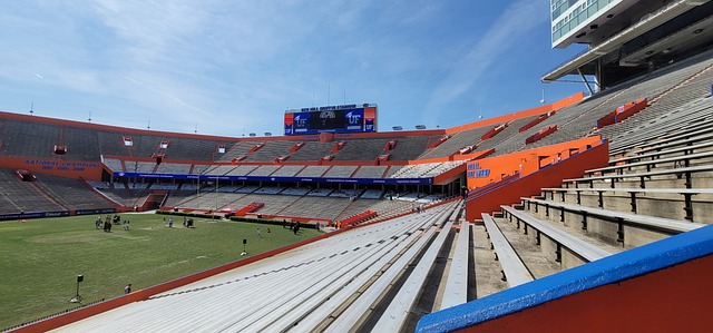 森纳防线 森纳防线