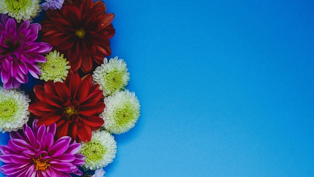 这样的举动 这样的举动