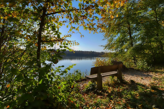 技逆袭马竞 技逆袭马竞